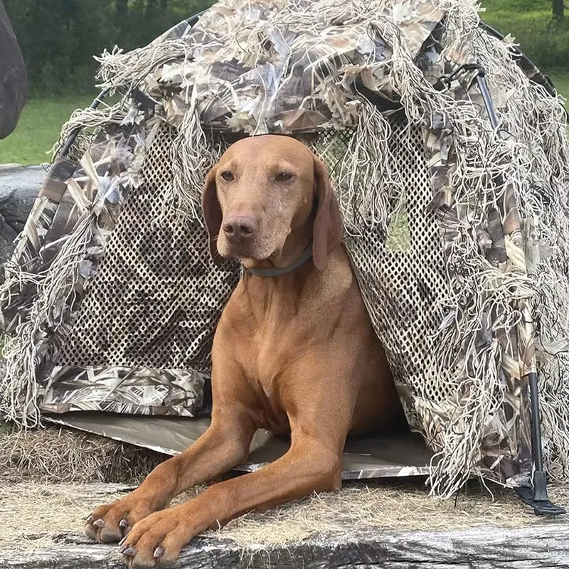 Tenda de Caça Leve Camuflada I - Outdoor Hunting Blinds avaliação e preço